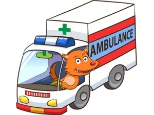 Puzzle d'ambulance de dessin animé